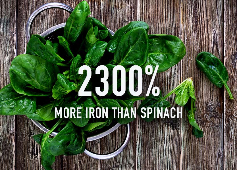 Spirulina_vs_spinach