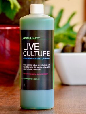 1L Live Spirulina Starter Culture