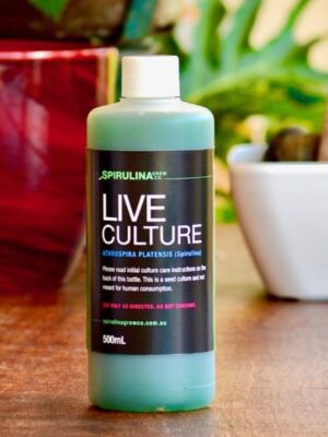 500ml Live Spirulina Starter Culture
