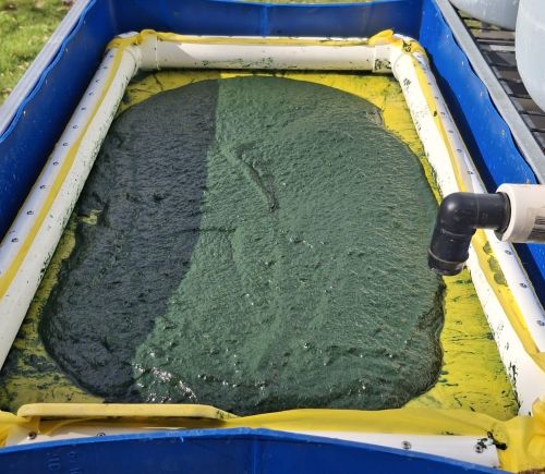 WhatsApp Image 2026-04-06 at 9.43.29 AM