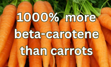 1000% more beta-carotene than carrots (1)