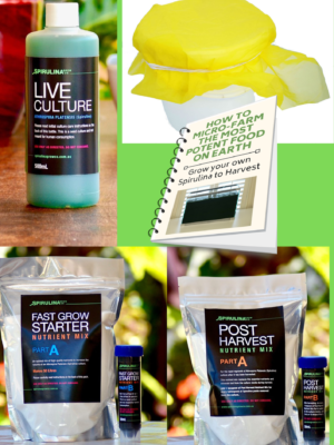 The 500ml Spirulina Self-Sufficiency Kit — Everything You Need to Grow, Harvest & Nourish Yourself