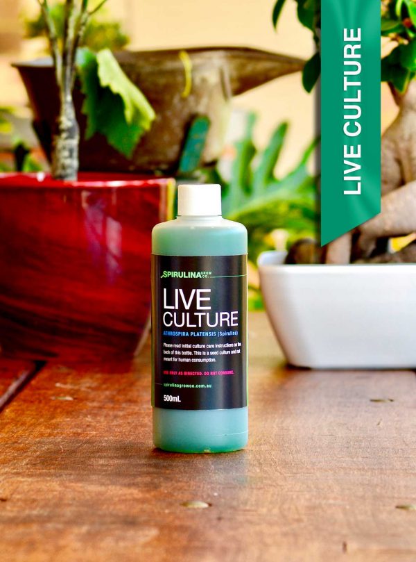 500ml Live Spirulina Culture for micro farming Australia