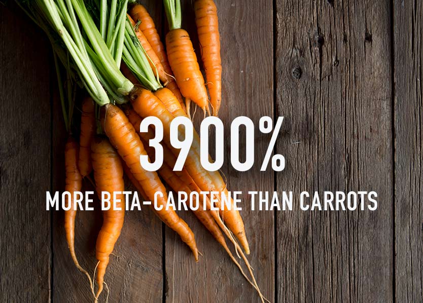 Spirulina vs carrots