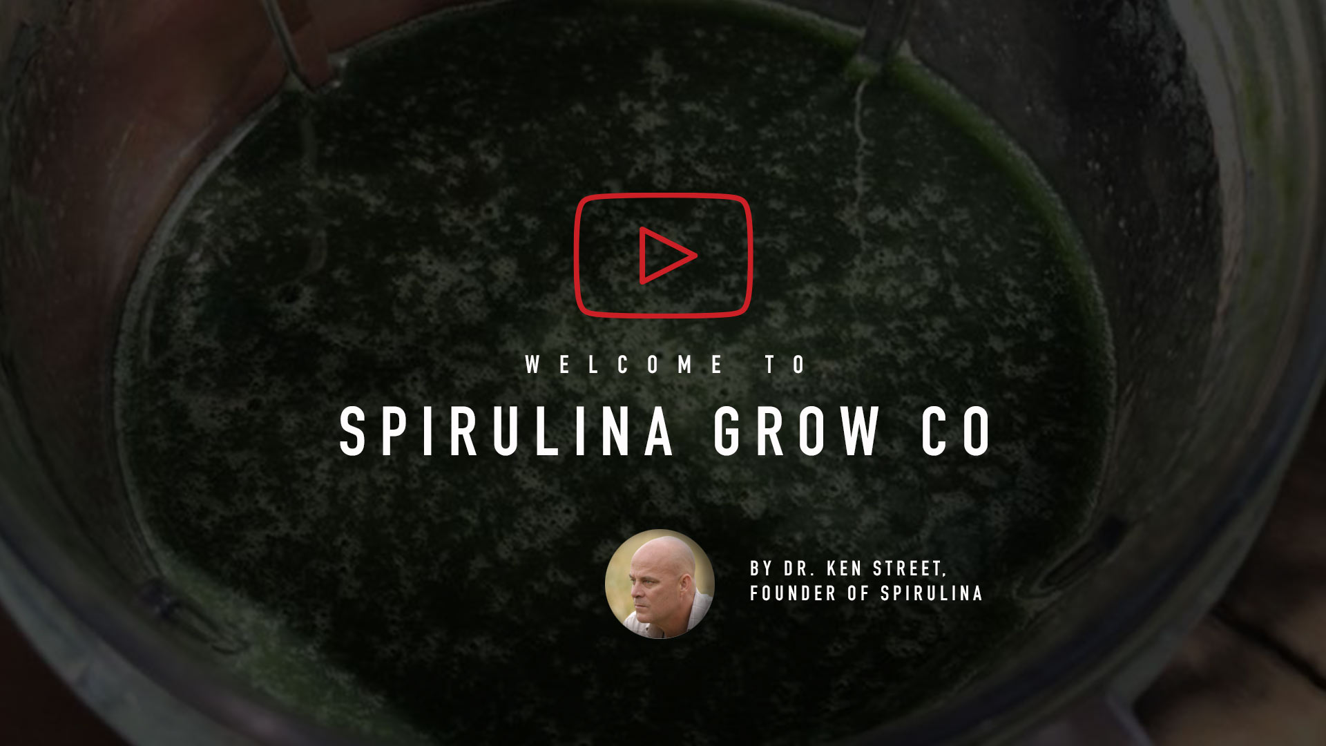Welcome to Spirulina Grow Co.